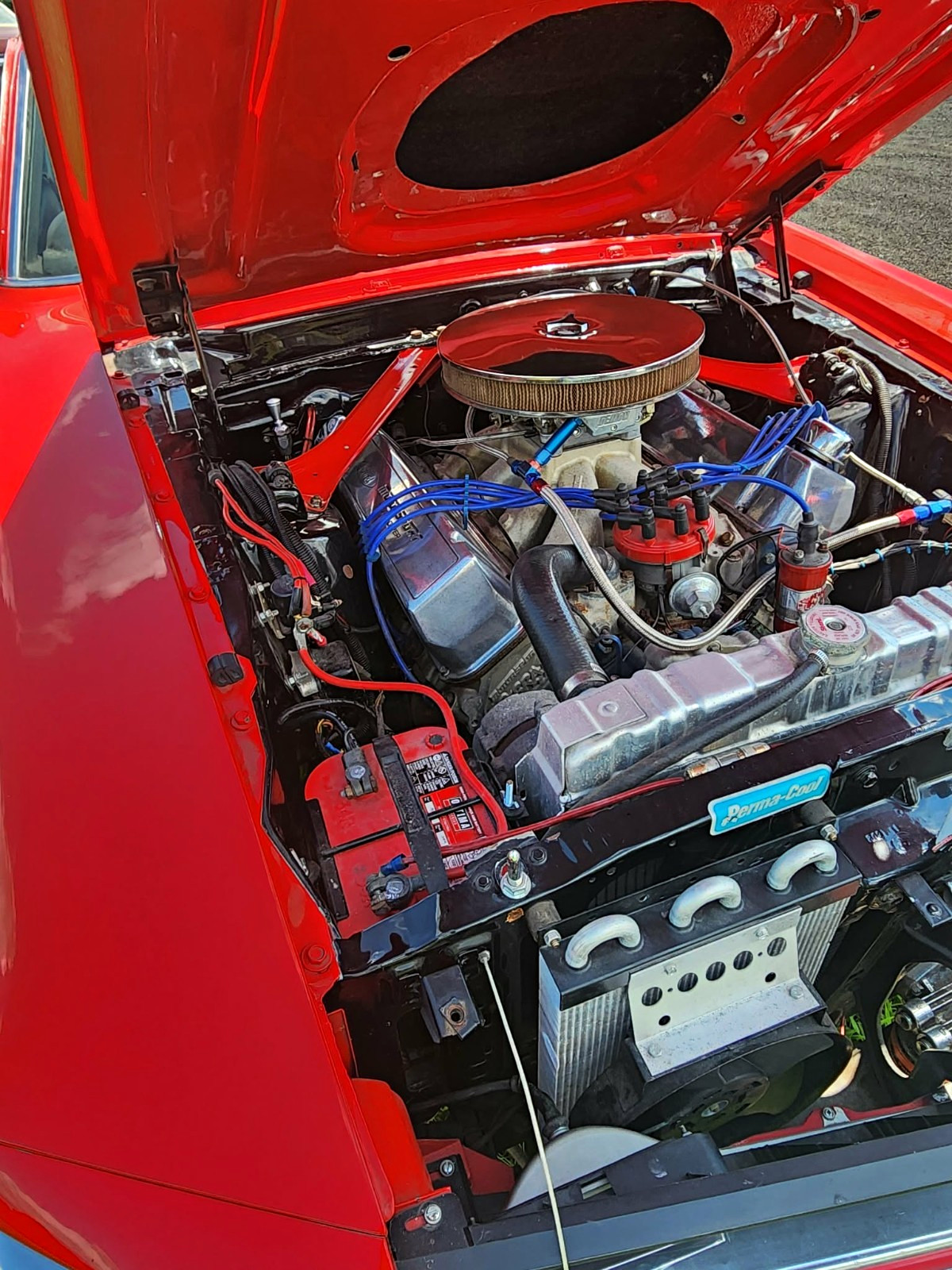 1970 Ford Mustang for sale in Perkasie Pennsylvania