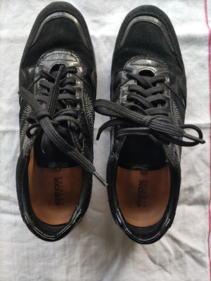 Geox Schnürschuhe 