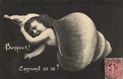 PC MULTIPLE BABIES CHILDREN SNAIL SHELL VINTAGE POSTCARD (b68566)