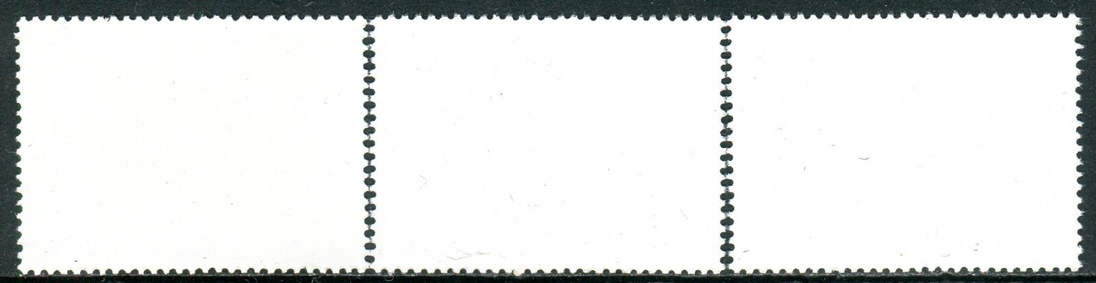 Picture 2 of 2