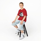Bild 100 von 100