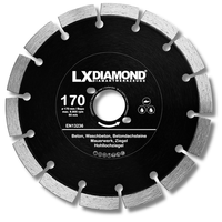 Lxdiamond Diamant-Trennscheibe 170Mm Passend FüR Bepo Ffs 171 Se MontagefräSe