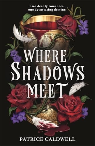 Where Shadows Meet: The instant Sunday Times bestselling sapphic - Image 4