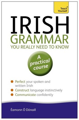 Irish Grammar You Really Need to Know: Teach Yourself 2nd Edition by ?amonn ?'D?