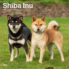 Shiba Inu 2026 12 X 24 Inch Hanging Monthly Square Wall Calendar Plastic-Free