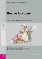 Klaus-Dieter Budras / Bovine Anatomy9783899930528