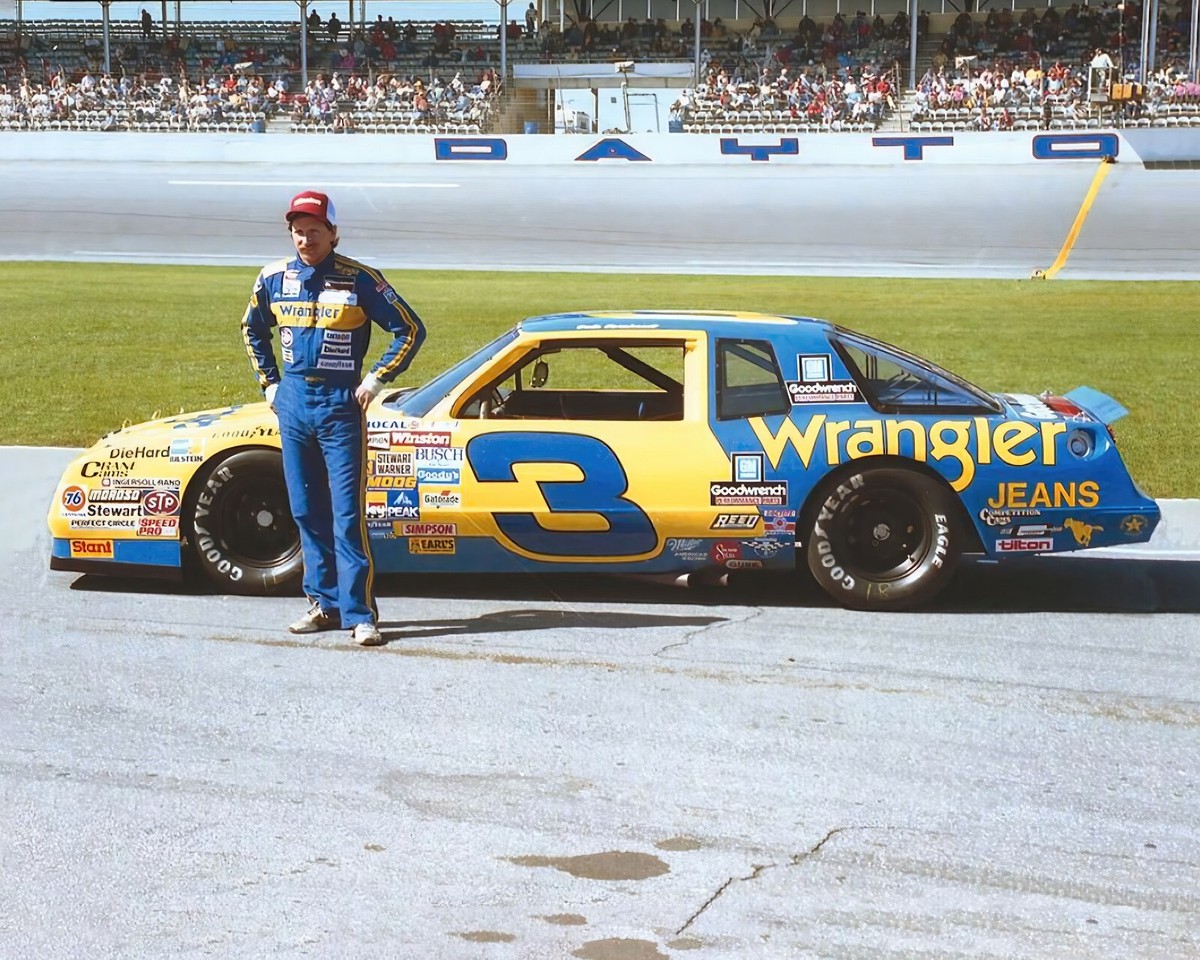 Dale Earnhardt NASCAR Car & Driver Pose 8