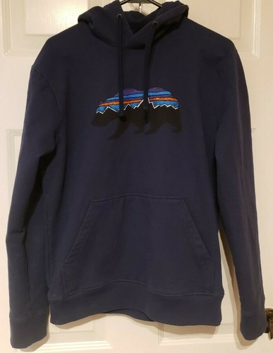 patagonia fitz roy bear moletom com capuz