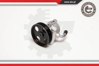 Esen SKV Servopumpe FüR CitroëN ZX N2 N1 Peugeot 306 SchräGheck 7A 7C N3 N5
