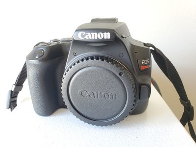 Canon EOS Rebel SL3 24.1MP Digital Camera
