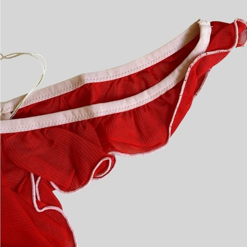 NWT Free People We Are HAH Fly Girl Mesh Panty Size XL Blood Orange Fairy - Picture 6 of 14