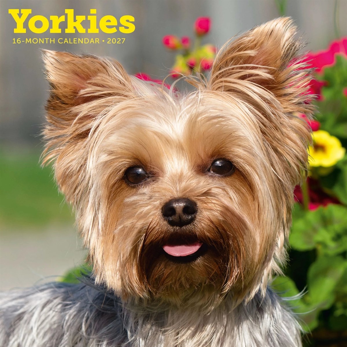 Yorkshire Terriers Calendar 2027, Wall Calendars, Month To View, Dogs, Gift - Image 2