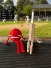 3D Printed Fun Articulated Buddy Set Cricket Bat And Ball Gift Set X2 Model Toy
