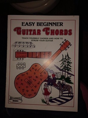 Easy Beginner Guitar Chords Instruction Book: Learn to Play Guitar Chords