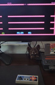 Bubble Bobble (Nintendo Entertainment System, NES, 1988) Authentic!