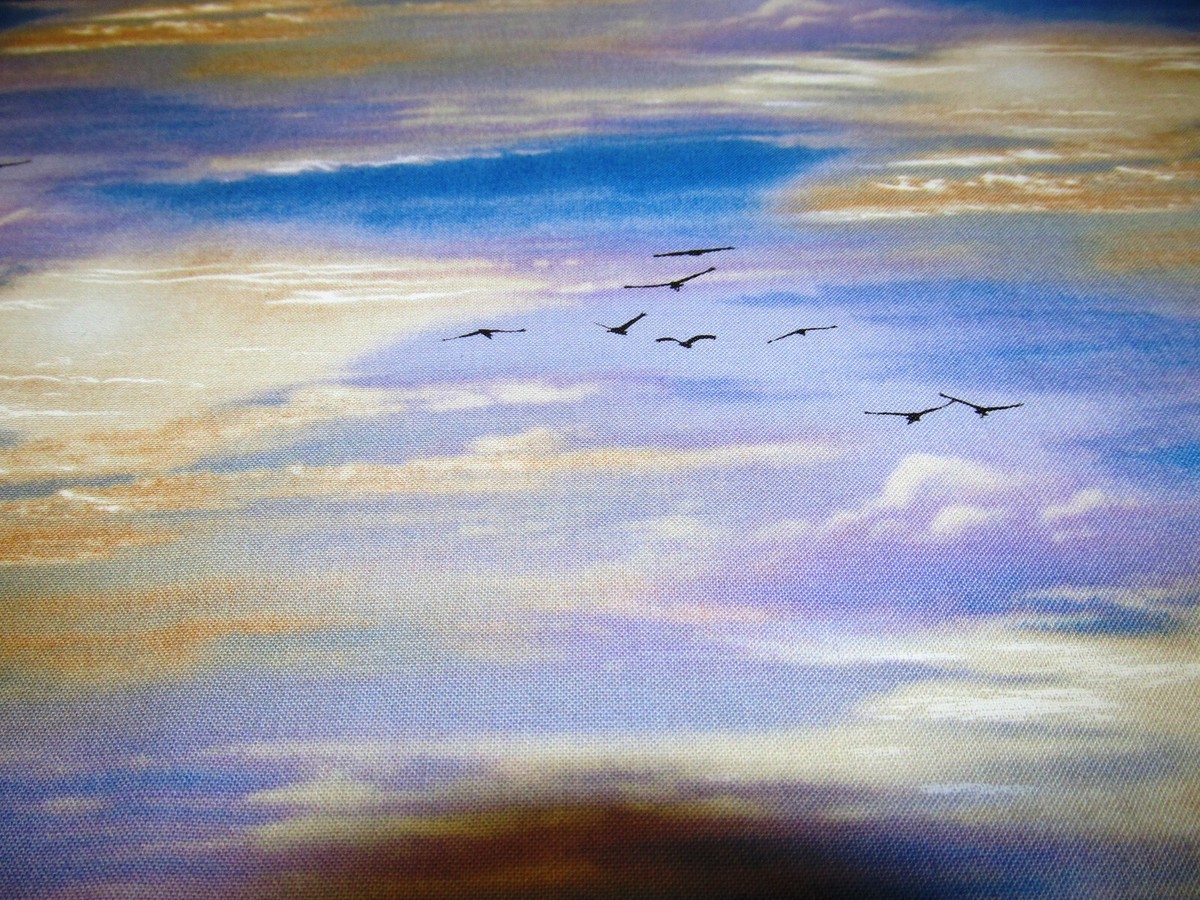 Wolken Himmel Vögel Landscape Patchworkstoff Baumwolle 50x110cm