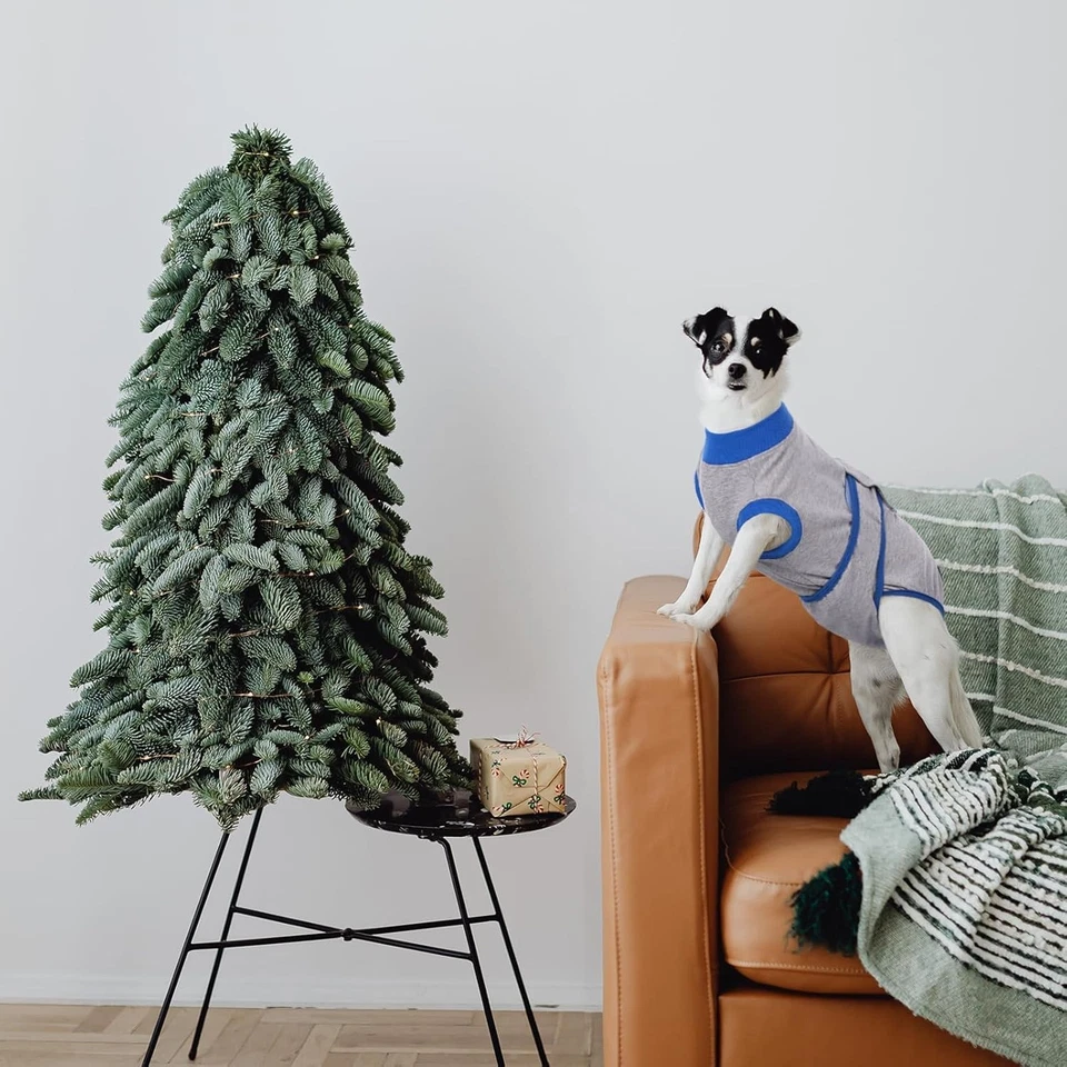 Kuoser Dog Surgery Recovery Suit, Adjustable Dog Post Surgery Body Suit, Grey XS - Image 3 of 4