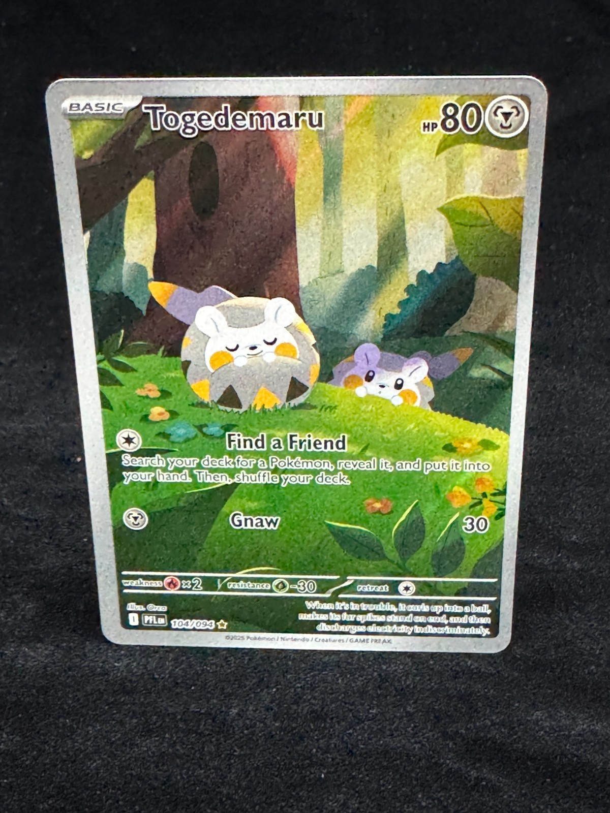 Pokémon Phantasmal Flames TCG 104/094 TOGEDEMARU Illustration Rare! Mint!