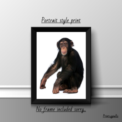 MONKEY A4 PRINT PICTURE POSTER WALL ART HOME DECOR UNFRAMED GIFT NEW 