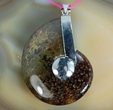 Huge 45x58mm A+ Natural Medium Vitrail Ammonite Fossil Pendant 