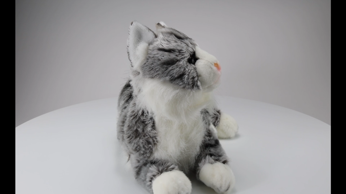 Carl Dick Cat Maine Coon grey-white, Stuffed Animal, Plush Toy | eBay