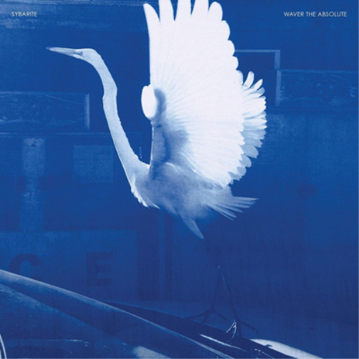Sybarite Waver the Absolute (Vinyl LP) 12" Album