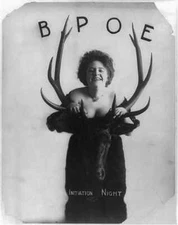 8" x 10" Photo Initiation Night,BPOE,Low Cut Dress,Head of elk