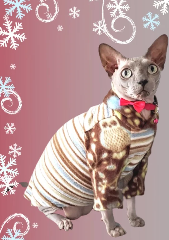 Soft Fleece Cat Pajamas - SMALL, Cozy Cat Sweater with Hood, Long Sleeves - Image 2 of 3