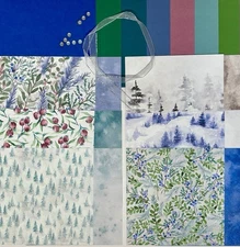 Stampin’ Up! WINTER MEADOW  Card Kit 6x6 DSP, Card stock & ribbon