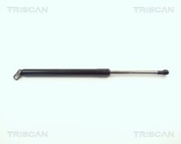 Heckklappen DäMpfer Gasfeder Kofferraum Triscan 8710 11209 FüR E39 BMW 5Er 520