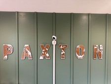 Custom  PAXTON   Safari Themed Wooden Letters - Baby Nursery