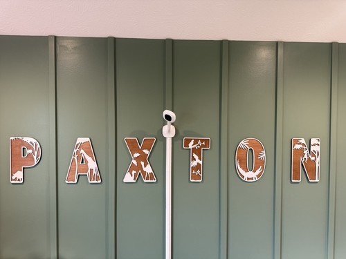 Custom “PAXTON”  Safari Themed Wooden Letters -  Baby Nursery