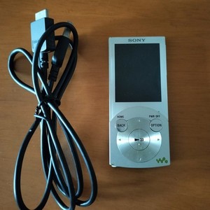Sony Nw-S203f Silver for sale | eBay