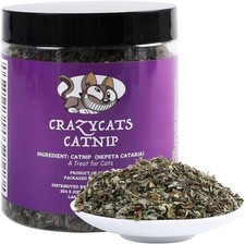 Organic Natural Catnip Cattle Grass Mint Taste Funny Cat Toy New Cat Toy