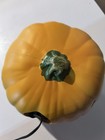 Disney Gemmy Winnie The Pooh Light Up Jack O Lantern Halloween Pumpkin Blow Mold — photo 4