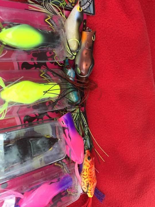 Frog eye, I owe you, Gotcha - Image 2