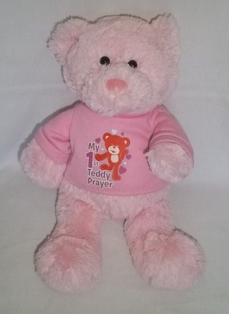my 1st teddy