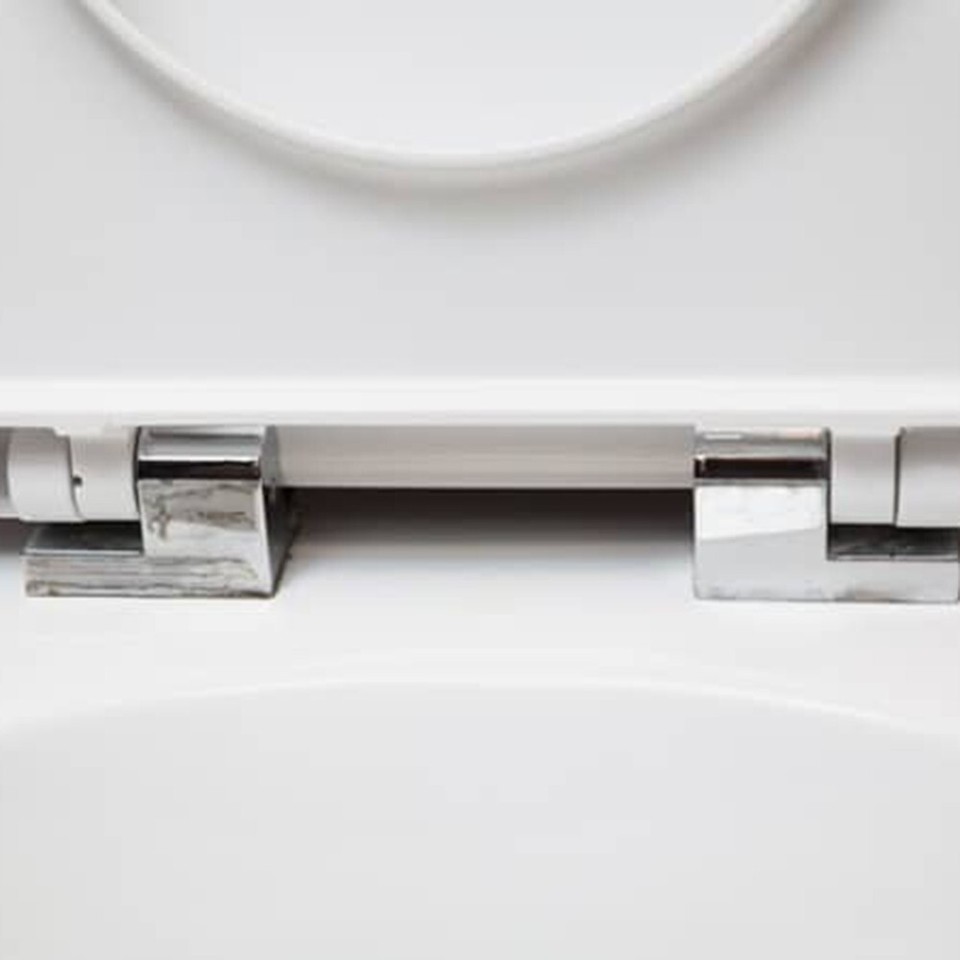 Convenient Top Fix Soft Close Toilet Hinges for Easy Maintenance and