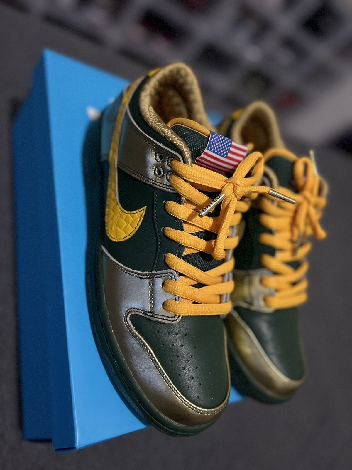 nike sb dunk pro low doernbecher