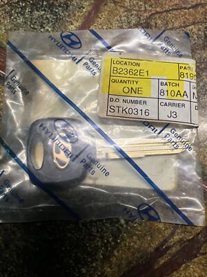 Key Blank Uncut Genuine Hyundai Xg300 Xg350 2000-2005 8199639000 