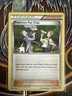 Pokemon Fan Club 107/124 Fates Collide Regular