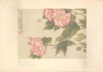 Vintage Chinese Prints of famous painting: Rose Mellow by Chen Chi-fo