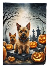 Carolines Treasures Norwich Terrier Spooky Ha...