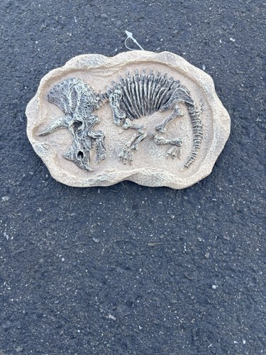Realistic Triceratops Fossil Faux Dinosaur Skeleton Jurassic Park 6x4