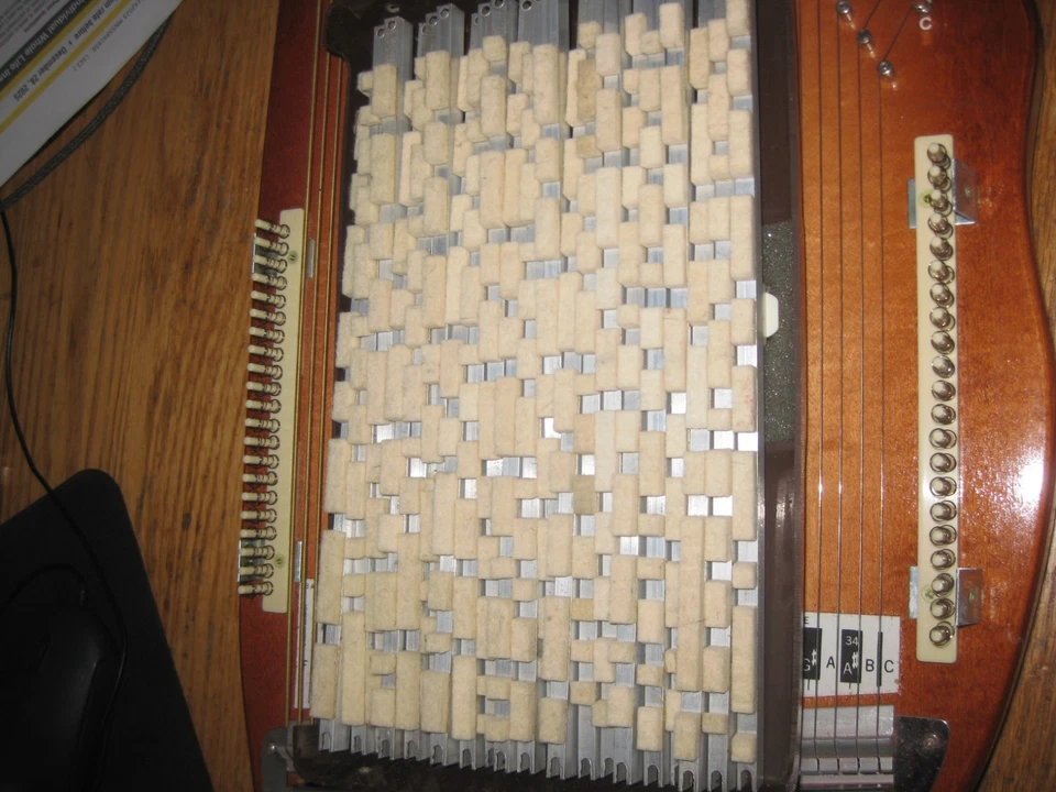 Kit de conversión de barra de acordes Autoharp 21 Oscar Schmidt EE. UU. Completo Foto 2 de 3