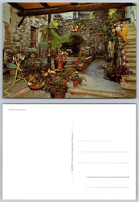 Continental Rustic Courtyard Flower Postcard