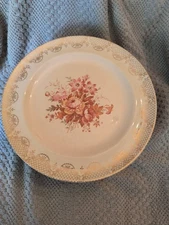 Camwood Ivory Dinner Plate Universal Potteries Cambridge Oh