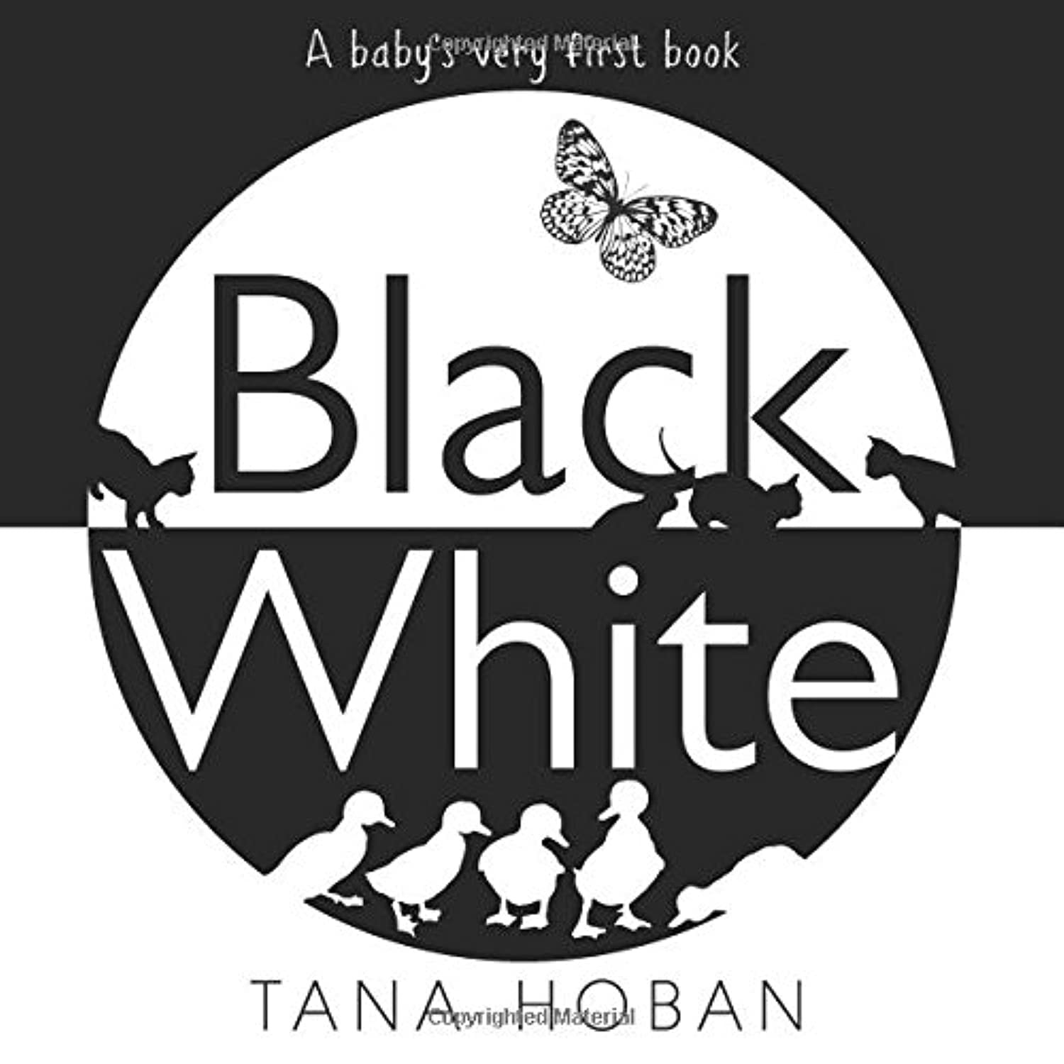 Black White by Tana Hoban (HB 2017) - Image 3