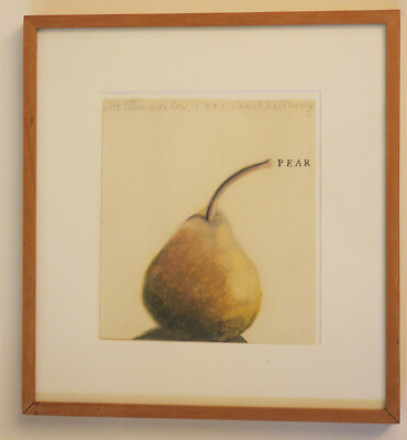 Original Carol Anthony Oil Crayon on Paper ''Pear'' Signed 1981 - Good Condition