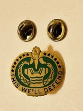 US Military DUI Insignia Pin - Trainer and Personnel - This We'll Defend